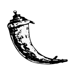 Icône Flask